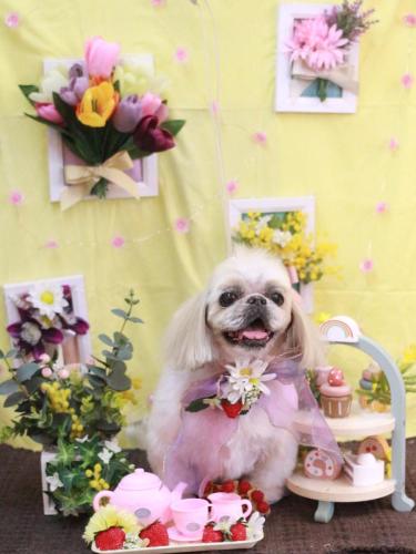 20230321マメちゃん